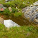 Tümpelspiegel Teil 1