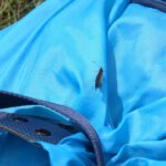 Ja wer hat sich denn da auf meinen Rucksack verirrt? Ja wer hat sich denn da auf meinen Rucksack verirrt?