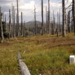 Lusen mit Grenzstein Lusen mit Grenzstein