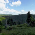 Siebensteinkopf und Farrenberg Siebensteinkopf und Farrenberg