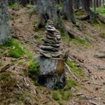 Ich habe sie schon vermisst Ich habe sie schon vermisst