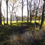 Überwachsene Ruine Überwachsene Ruine