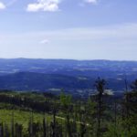 Panorama Süd Panorama Süd