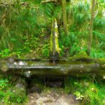 Nicht alle Brunnen auf dem Weg laufen so voll wie dieser Nicht alle Brunnen auf dem Weg laufen so voll wie dieser