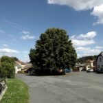 Dorflinde von Újezd