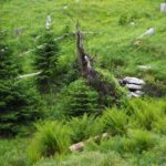 Schmerzensschrei eines Erdelementars