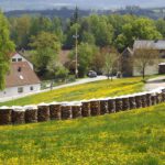 Holzfässer mal anders Holzfässer mal anders