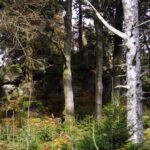 Der tatsächliche Gipfel