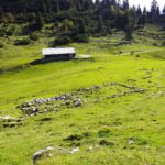 Aktuelle und ehemalige Almhütte