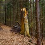 Abgebrochen... Abgebrochen...