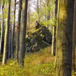 ...die es wert sind, in diesem Bericht veröffentlicht zu werden