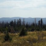 Die Umrahmung des Lusentals