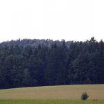 Das ist ja der Aussichtsturm