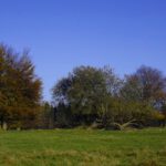 Indian Summer Indian Summer