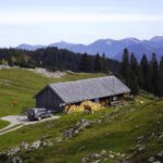 Das Auto war vorgestern aber nicht heroben... Das Auto war vorgestern aber nicht heroben...