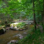 Letzte Brücke vor der Blockhütte Letzte Brücke vor der Blockhütte