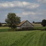 Scheune mit Umschwung