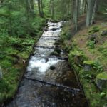 Kleine Ohe an der Fredenbrücke