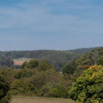 Blick hinters Flembachtal