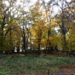 Nebengipfelchen mit Lichtspiel