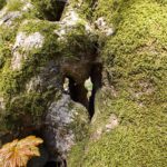 Stimmt, man kann durchschauen Stimmt, man kann durchschauen