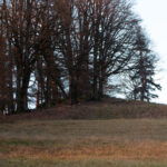 Rotenbuckel aus der Nähe