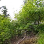 Ein bisserl unscheinbar sind die Felschen schon...