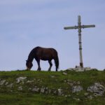 Im Mittelalter wäre dies wohl ein Symbolbild gewesen Im Mittelalter wäre dies wohl ein Symbolbild gewesen