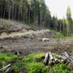 Kaum das Naturschutzgebiet verlassen, geht DAS los :( Kaum das Naturschutzgebiet verlassen, geht DAS los :(