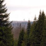 Servus Poledník, lange nicht gesehen (also genau 8 Tage)