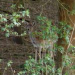 Extrem neugierig Extrem neugierig