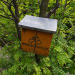 ...einen gefüllten Gipfelbuchkasten...