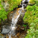 Einer der vielen Sturzbäche vom Schrankogel