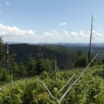 Fernsicht mit Baumruinen Fernsicht mit Baumruinen