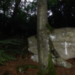 Totentruhe im Blitz, anders ging es leider nicht mehr Totentruhe im Blitz, anders ging es leider nicht mehr