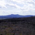 Panorama nach Süden, in der Mitte der Rachel