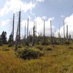 Großer Spitzberg Großer Spitzberg