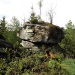 Komm endlich, Langweilerin!