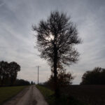 Durchleuchtet – hätte ich auch in Schwarzweiß umformatieren können