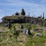 Freigelegter Felsriegel