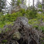 Holz und Fels Holz und Fels