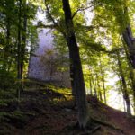Rückblick zur Burg