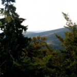 Panorama Nord vom Weißmainfelsen