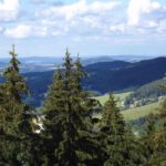 Nach Norden ist einigermaßen Durchblick Nach Norden ist einigermaßen Durchblick