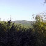 Auf dem Nachbarhügel steht eine Mobilfunkantenne