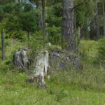 Holz und Stein