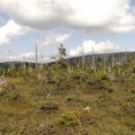 Hraniční slat' Hraniční slat'