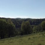 Das heißt aber nicht, dass nicht gelegentlich Gipfel erkennbar sind