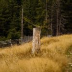 Danke fürs Sitzenbleiben