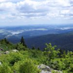 Moldaustausee, in der Mitte Horní Planá